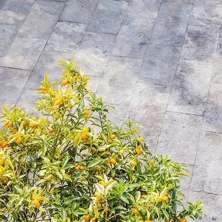 Appartement Magnolia *