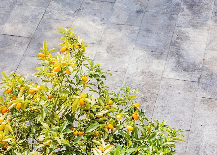 Διαμέρισμα Magnolia *